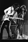 nobby-clark-stones